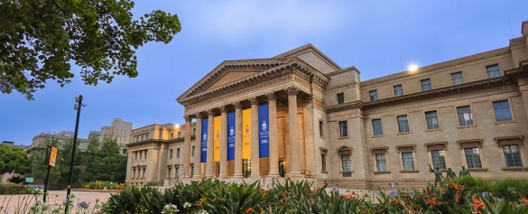 Wits